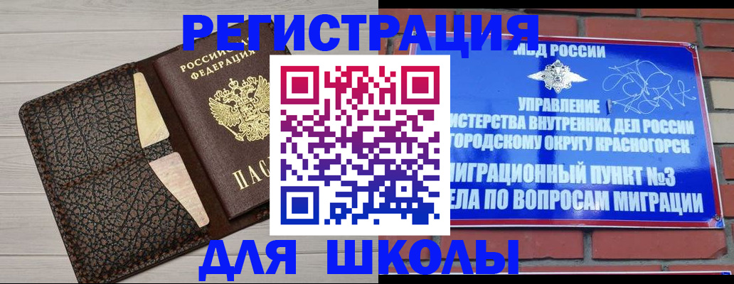 прописка в Вельске